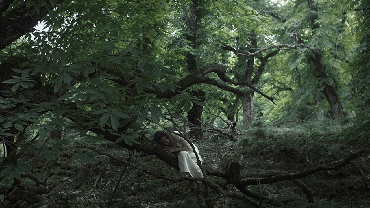 Переплетённые (фильм, 2019)