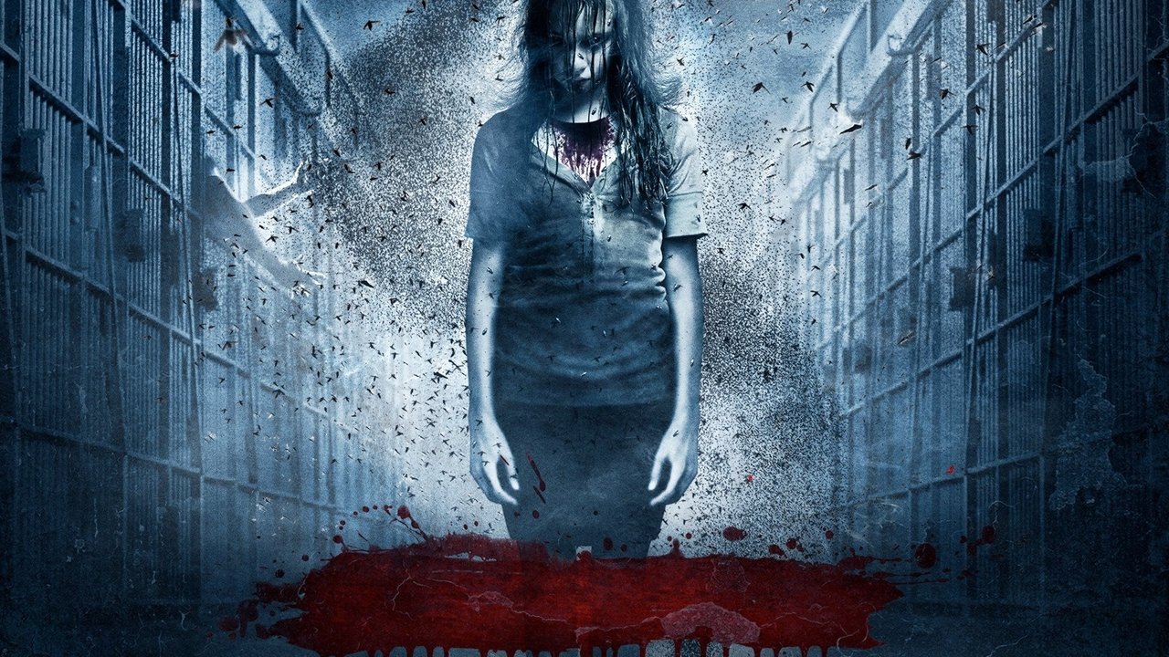 Камера 213 (фильм, 2011)