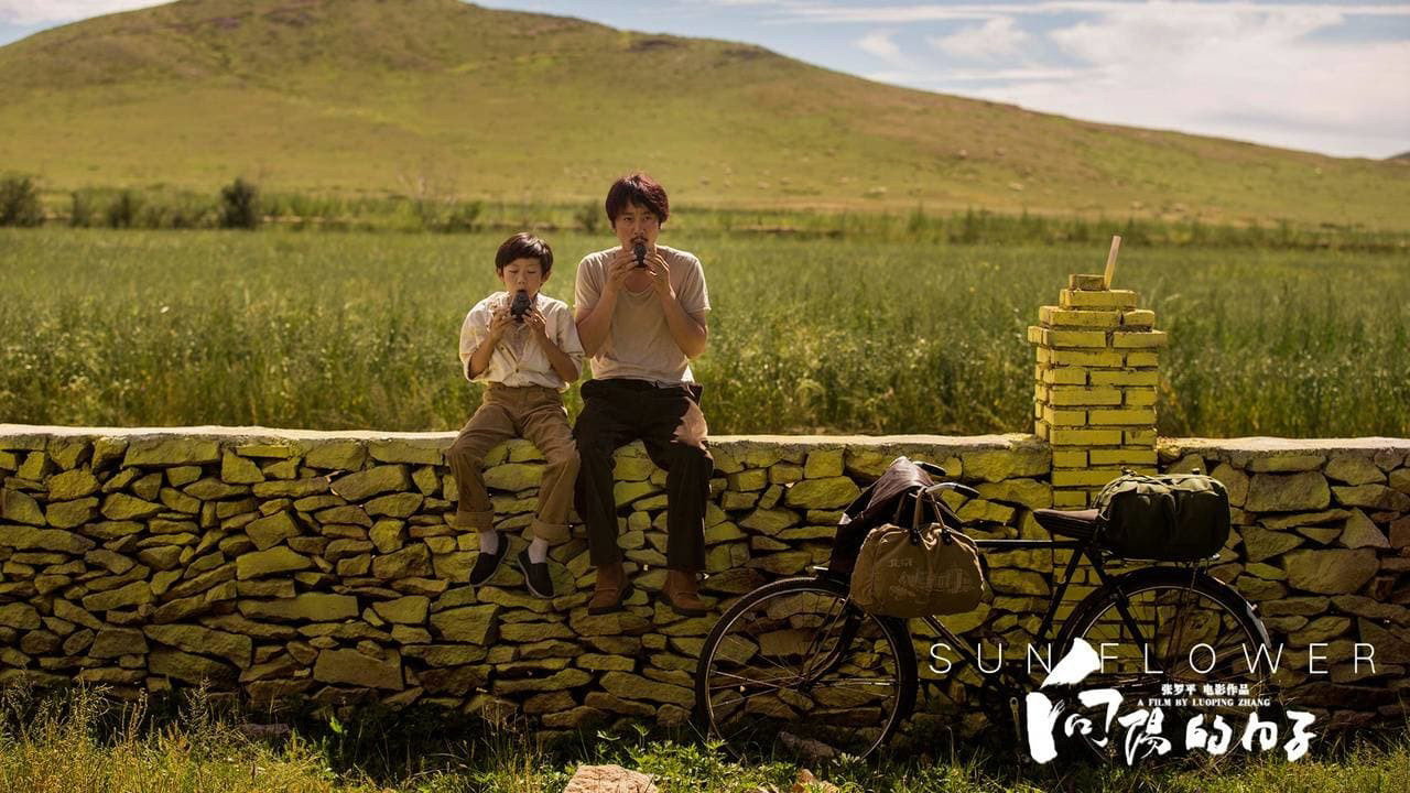 Подсолнух (фильм, 2017)