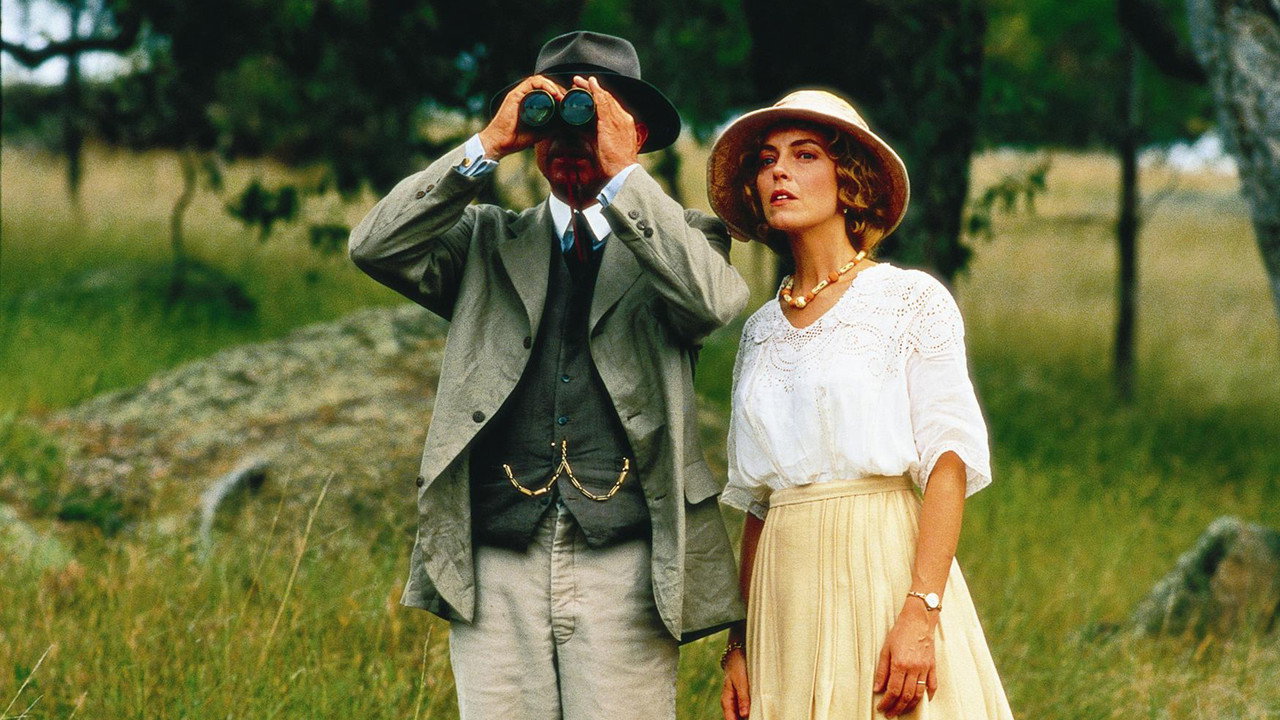Провинциальный роман (фильм, 1994)