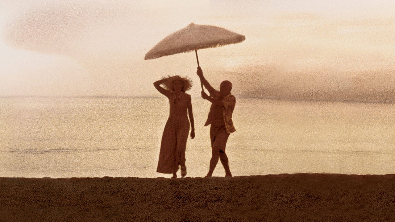 Прожить жизнь с Пикассо (фильм, 1996)