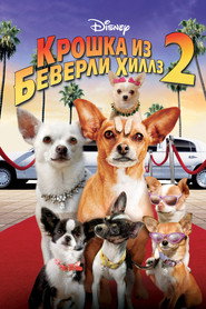 Крошка из Беверли-Хиллз 2 (фильм, 2010)