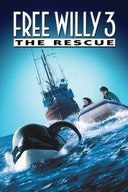 Освободите Вилли 3: Спасение (фильм, 1997)