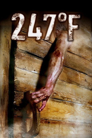 247 градусов по Фаренгейту (фильм, 2011)