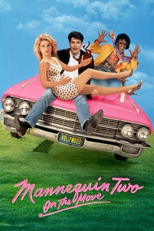 Манекен в движении (фильм, 1991)