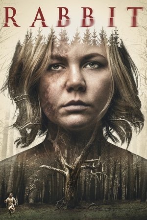 Кролик (фильм, 2017)