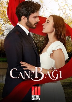 Струны души (сериал, 2025)