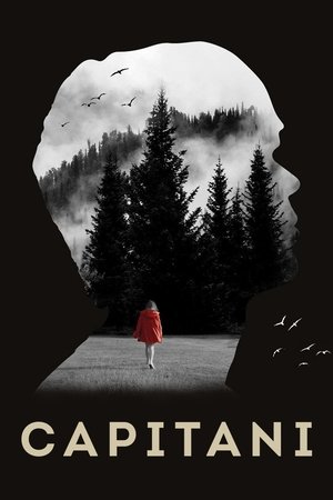 Капитани (сериал, 2019)