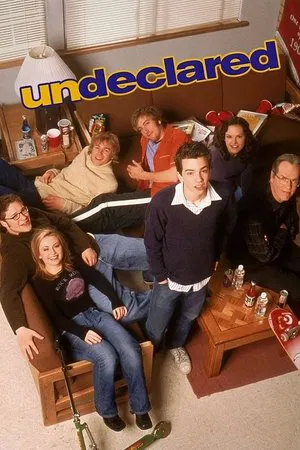 Неопределившиеся (сериал, 2001)
