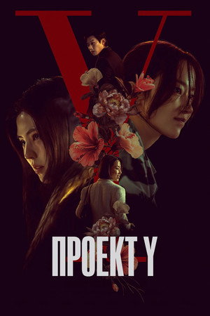 Проект Y (фильм, 2025)