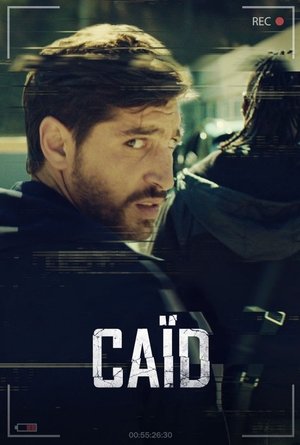 Дилер (сериал, 2021)