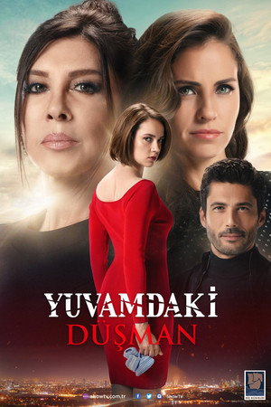Враг в моём доме (сериал, 2018)