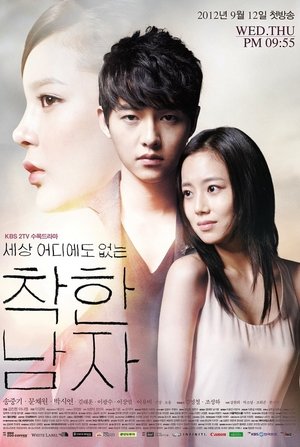 Славный парень (сериал, 2012)