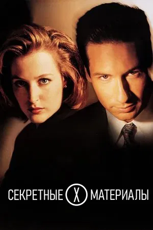 Секретные материалы (сериал, 1993)
