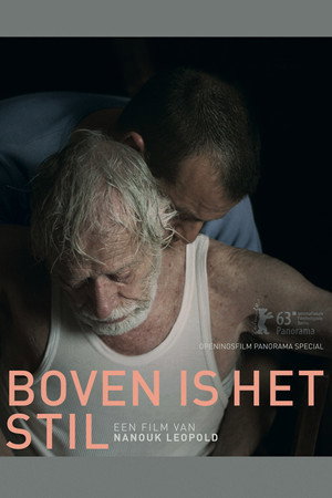 Кругом тишина (фильм, 2013)