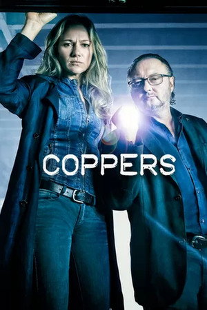 Грубое правосудие (сериал, 2016)