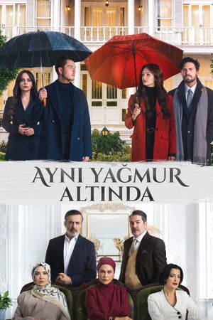 Под одним дождём (сериал, 2026)
