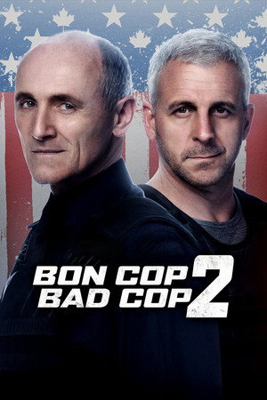 Плохой хороший полицейский 2 (фильм, 2017)