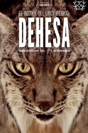 Дехеса: Лес пиренейской рыси (фильм, 2020)