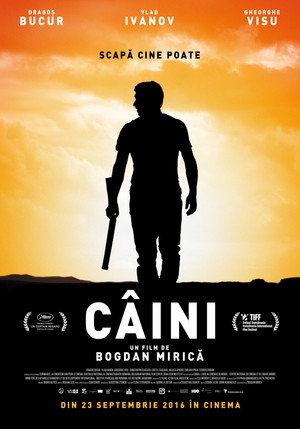 Собаки (фильм, 2016)