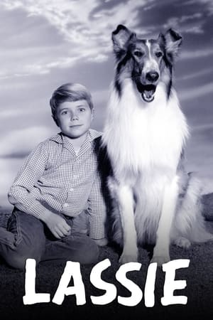 Лэсси (сериал, 1954)