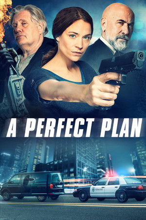 Идеальный план (фильм, 2020)