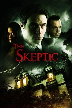 Скептик (фильм, 2007)
