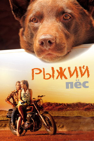 Рыжий пес (фильм, 2011)