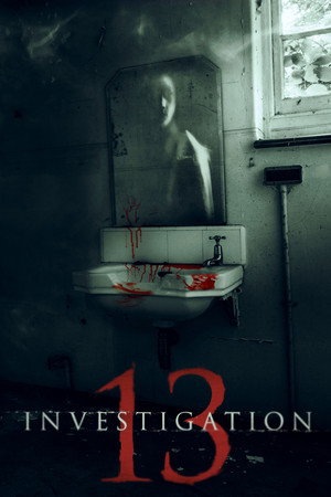 Расследование 13 (мультфильм, 2019)